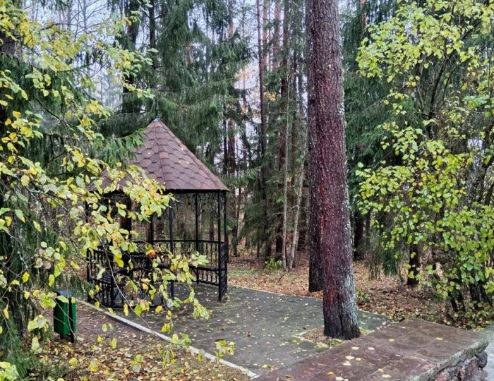 Мини-отель «Плавно» Лепель