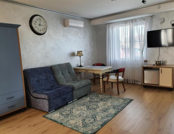 Номер студия с 1 двуспальной кроватью - Гостевой дом «Вояж» Барнаул