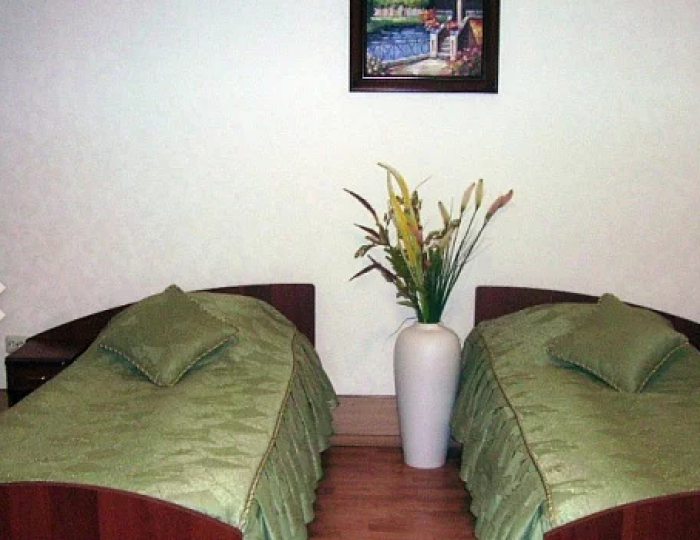 2-местный номер стандарт с 2 односпальными кроватями (с завтраком) - Отель «Ока» Знаменск