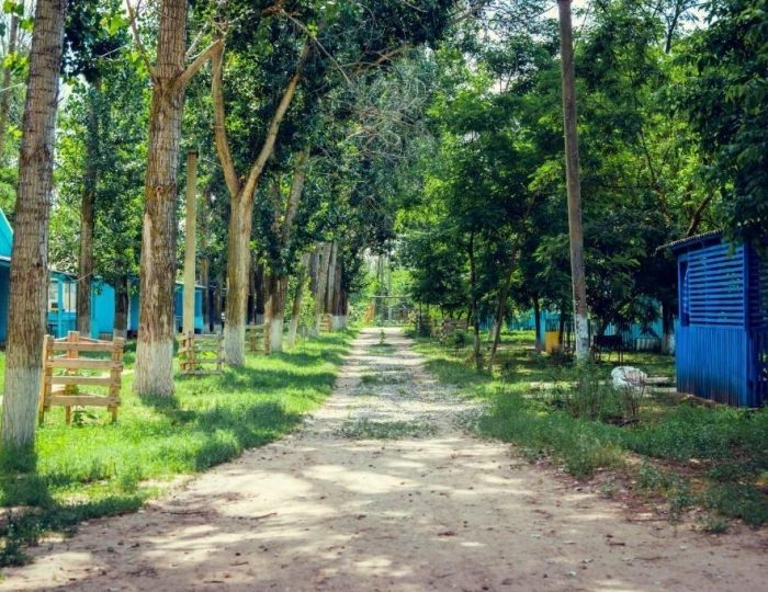 База отдыха «Росинка» Растопуловка