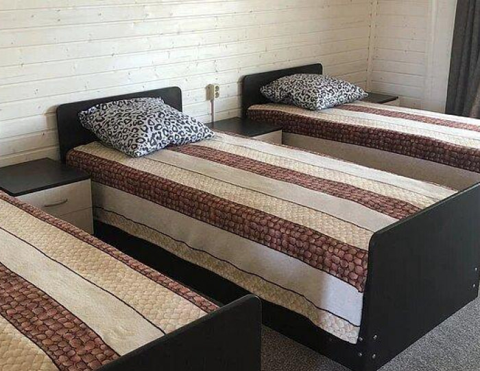 Номер люкс с 3 односпальными кроватями (с пансионом) - База отдыха «Седьмая жилка» Кировский