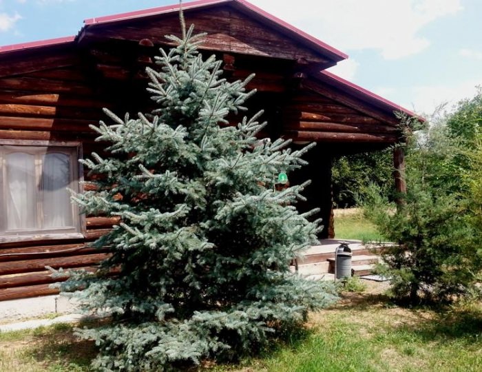 База отдыха «Рыбалкино» Полдневое