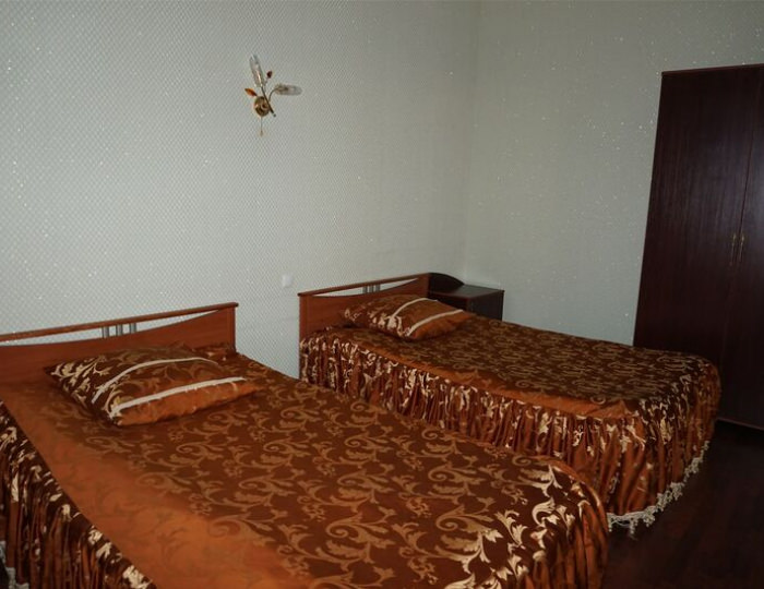 делюкс twin - Отель «Зодиак» Радужный