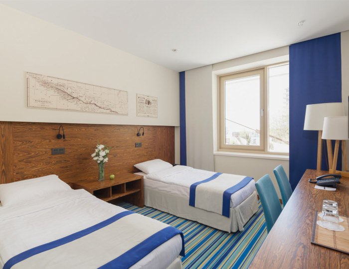 Стандарт TWIN с видом на горы (без балкона) - Отель Hidens Hotel / Хайденс Небуг