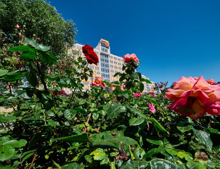 Санаторий «Солнечный» Кисловодск