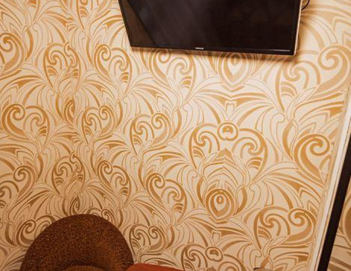 1-местный номер полулюкс с 1 односпальной кроватью (с завтраком) - Мини-отель «ФорсажЪ» Бийск