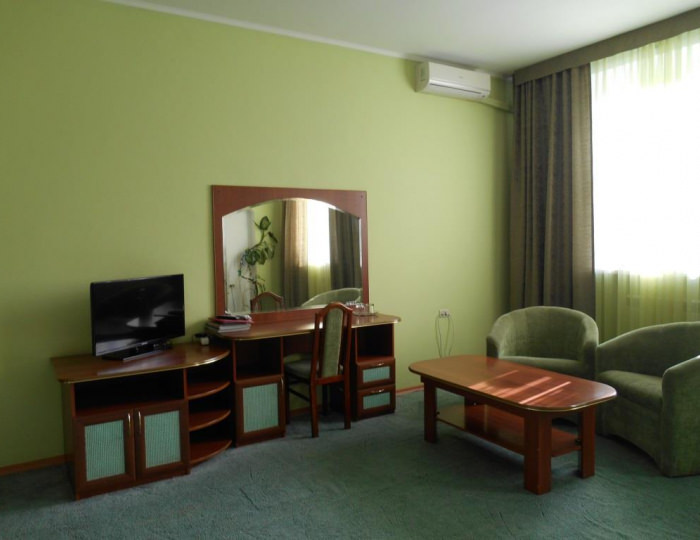 Номер студия с 1 двуспальной кроватью - Мини-отель SV / СВ Бийск