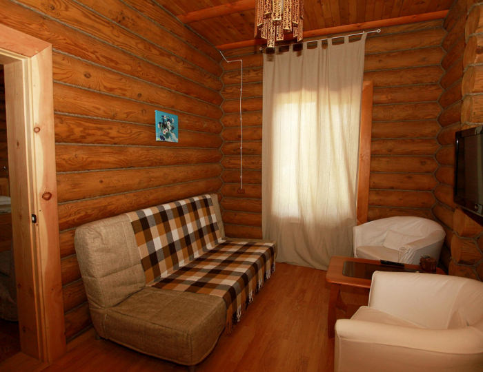 Номер люкс (с завтраком) - Гостиница «Арт-Эко-отель Алтай» Бийск