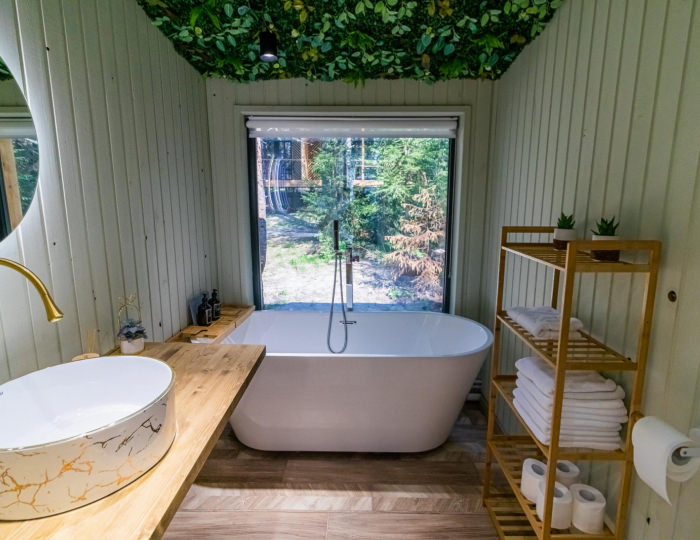 Номер с ванной «Можжевеловая роща» - Гостевой дом ALDI-Karelia / АЛДИ-Карелия Сяпся
