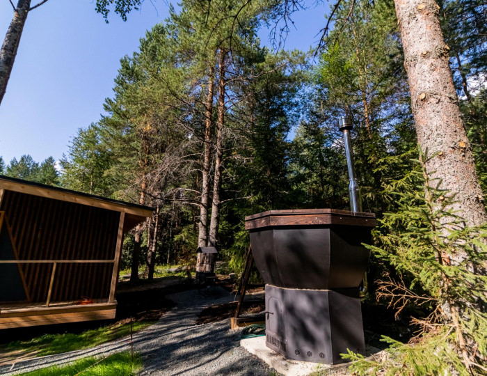 Номер «Березовая роща» - Гостевой дом ALDI-Karelia / АЛДИ-Карелия Сяпся