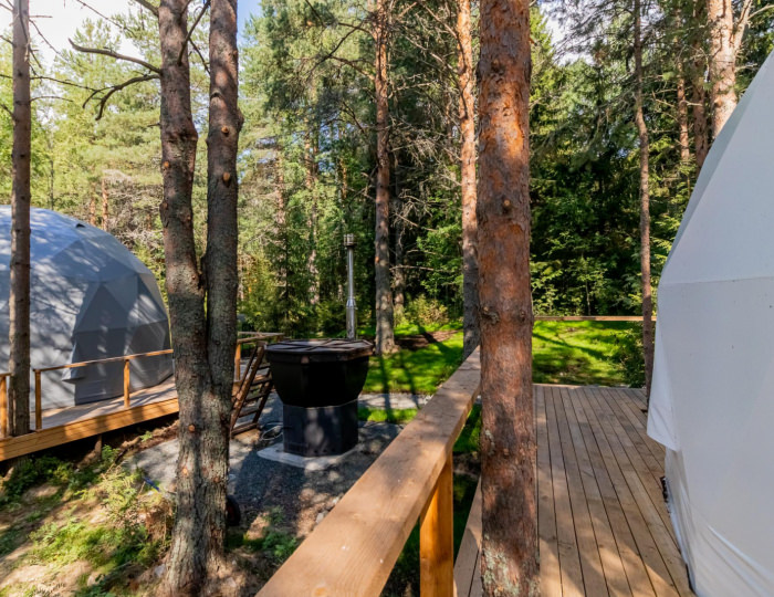 Купол «Петроглифы» - Гостевой дом ALDI-Karelia / АЛДИ-Карелия Сяпся