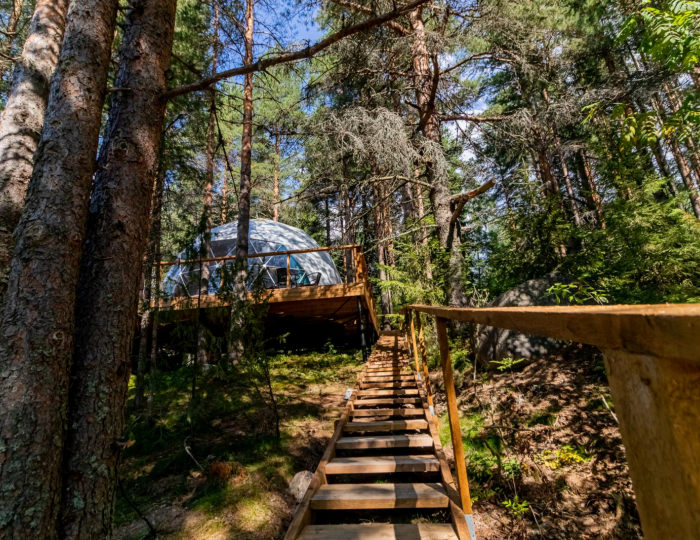 Купол «Петроглифы» - Гостевой дом ALDI-Karelia / АЛДИ-Карелия Сяпся