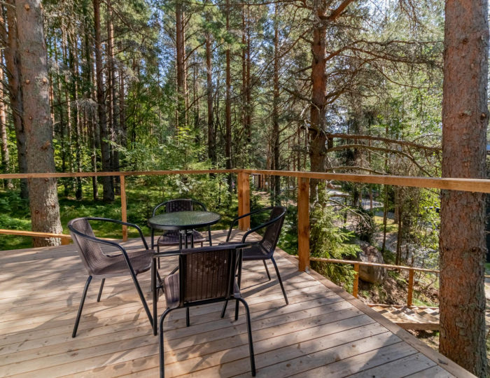 Купол «Петроглифы» - Гостевой дом ALDI-Karelia / АЛДИ-Карелия Сяпся