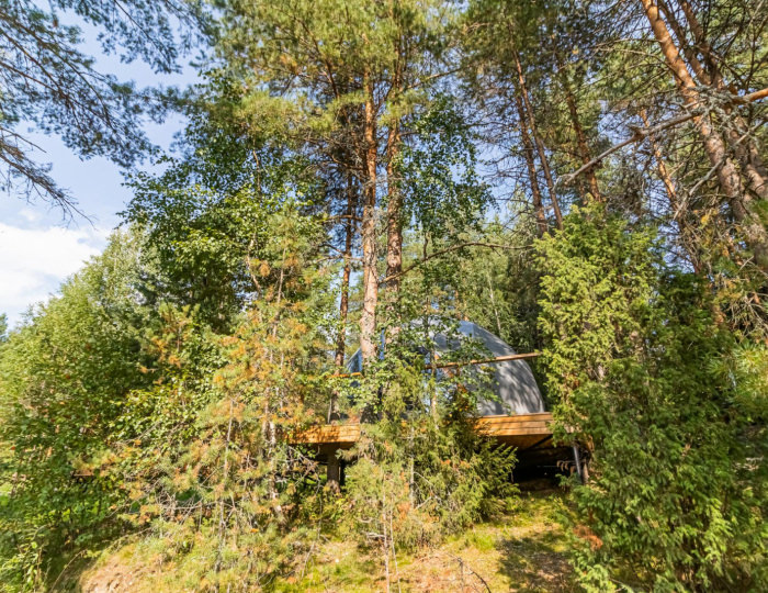 Купол «Карельский лес» - Гостевой дом ALDI-Karelia / АЛДИ-Карелия Сяпся