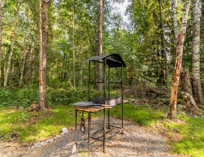 Купол «Карельский лес» - Гостевой дом ALDI-Karelia / АЛДИ-Карелия Сяпся