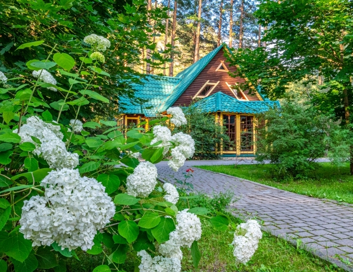 База отдыха «Кедровый остров» Усть-Сема