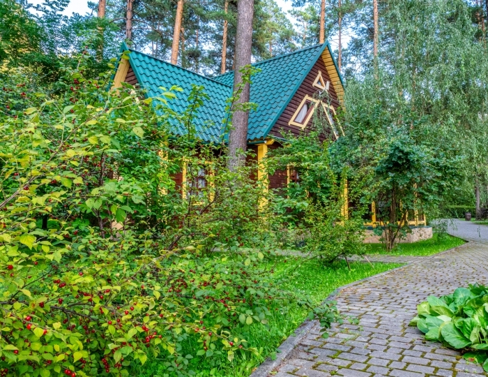 База отдыха «Кедровый остров» Усть-Сема