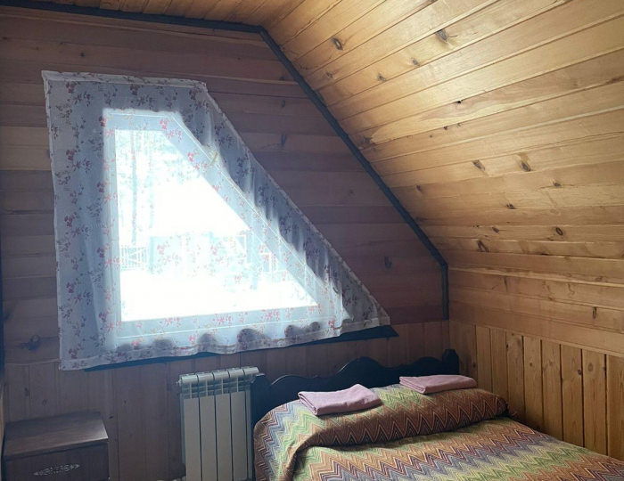 Номер эконом с 1 двуспальной кроватью (с завтраком, мансарда) - База отдыха «Кедровый остров» Усть-Сема