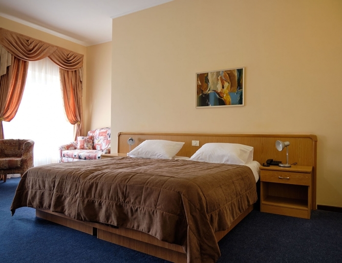 Полулюкс 2-местный (Double/Twin) - Санаторий «Долина Нарзанов» РЖД-Здоровье Ессентуки