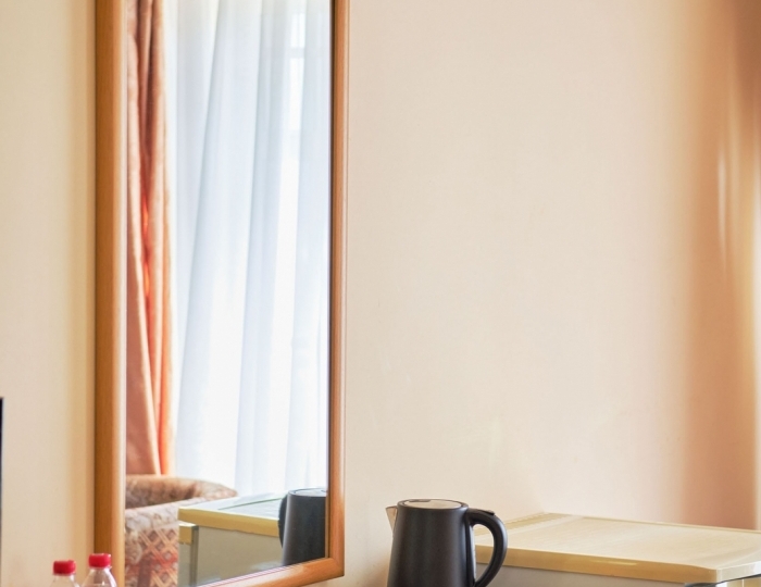 Полулюкс 2-местный (Double/Twin) - Санаторий «Долина Нарзанов» РЖД-Здоровье Ессентуки