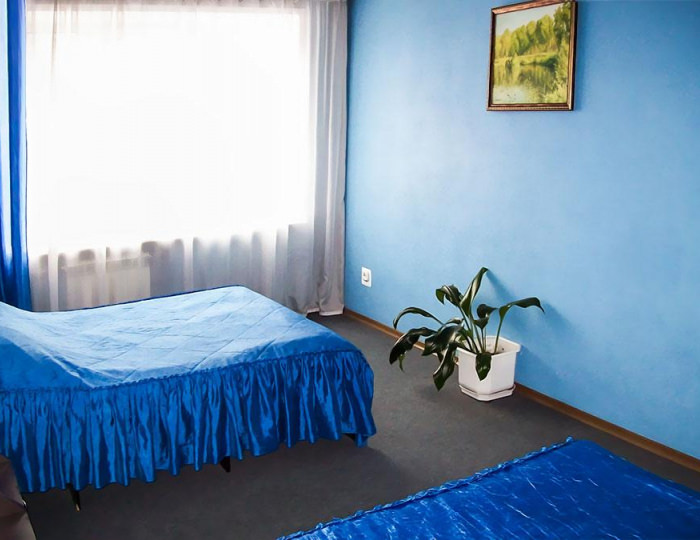 Номер люкс семейный с 2 двуспальными кроватями - Мини-отель «Гвоздика» Бийск