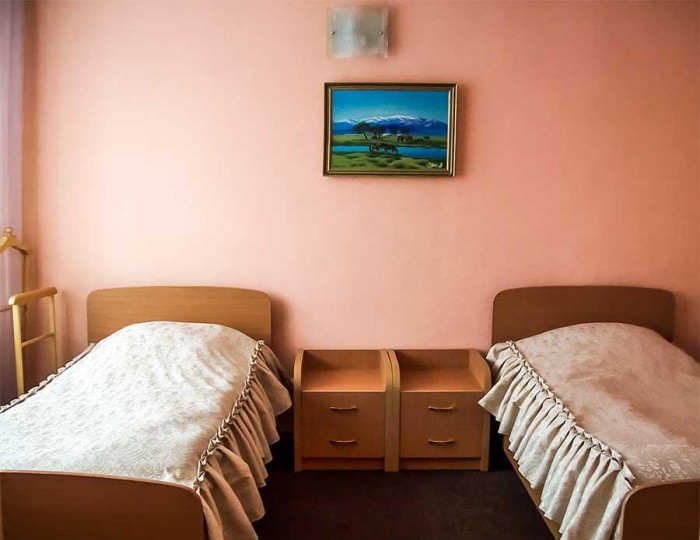 Номер люкс с 2 односпальными кроватями - Мини-отель «Гвоздика» Бийск