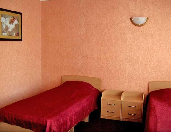 Номер полулюкс с 2 односпальными кроватями - Мини-отель «Гвоздика» Бийск