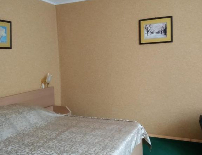 Номер полулюкс с 1 двуспальной кроватью - Мини-отель «Гвоздика» Бийск