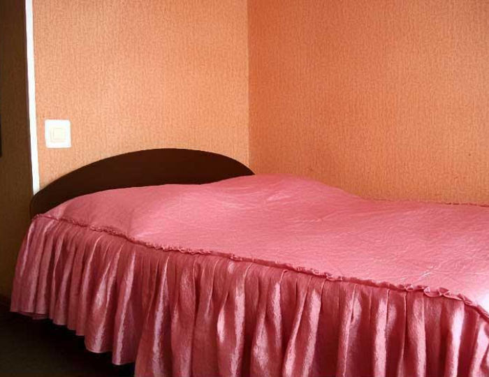 Номер полулюкс с 1 двуспальной кроватью - Мини-отель «Гвоздика» Бийск