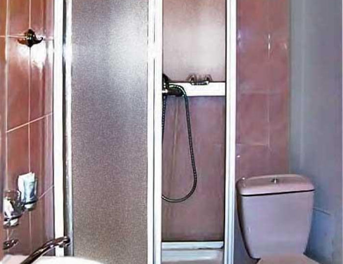 Номер люкс с 1 двуспальной кроватью - Мини-отель «Гвоздика» Бийск