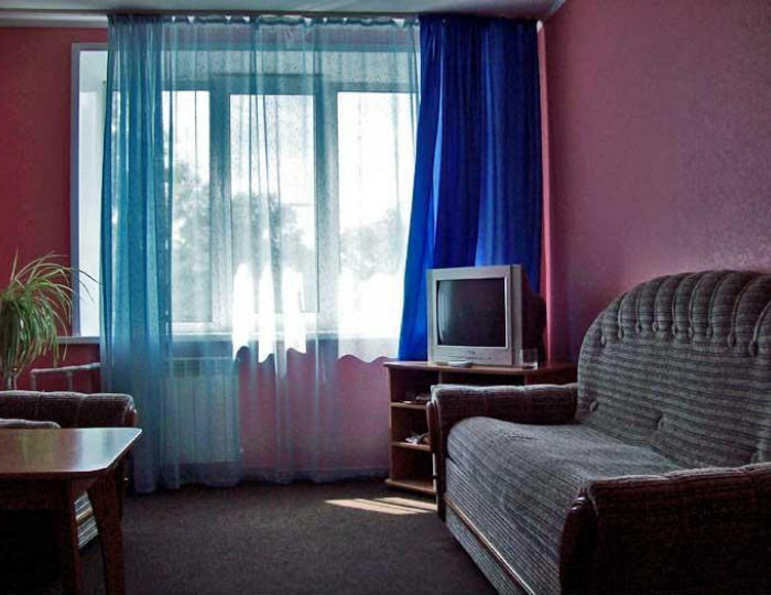 Номер люкс с 1 двуспальной кроватью - Мини-отель «Гвоздика» Бийск