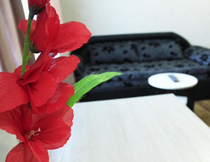 Апартаменты студия - Апартаменты «Добрые сутки на улице Советская 35» Бийск