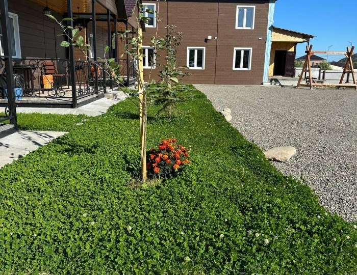 Загородный отель «Ёлки» Елизово