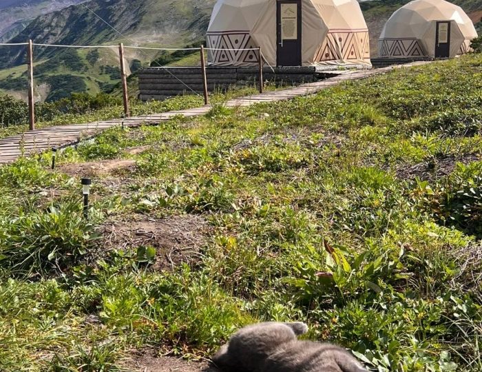 Глэмпинг Vilyuchik Camp / Вилючик Кэмп Термальный