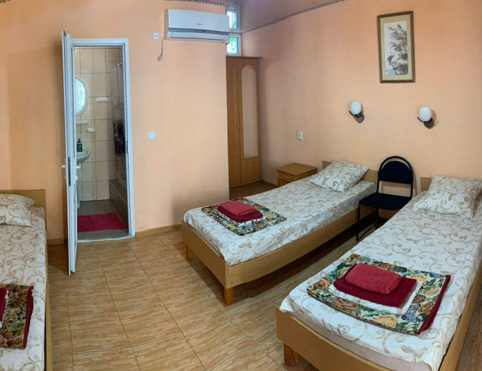 3-местный 1-комнатный номер стандарт семейный с 1 односпальной и 1 двуспальной кроватью - Гостевой дом «Черноморский дворик» Береговое