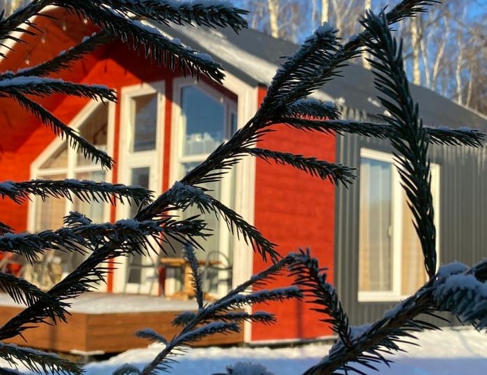 Глэмпинг «Лесное Патио» Коломна