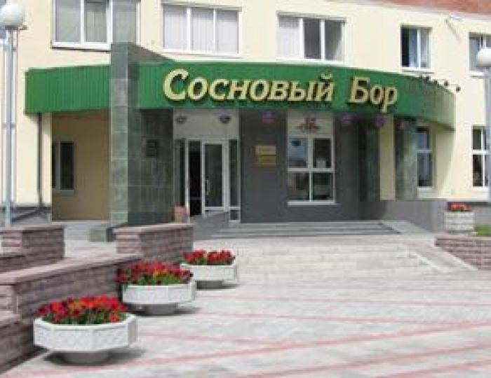 Отель «Сосновый Бор» Сосновый Бор