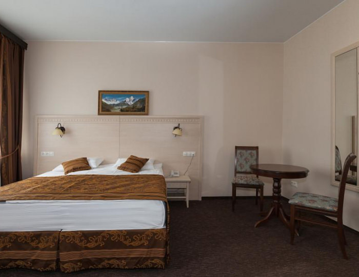 1-местный номер эконом - Отель «Гатчина» Гатчина