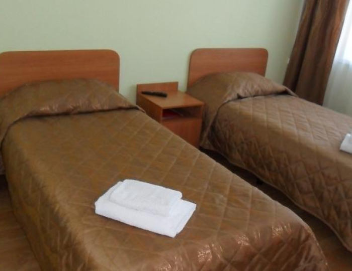 2-местный номер стандарт (с завтраком) - Отель «Витязь» Ивангород