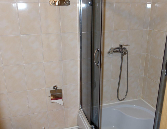 1-местный номер стандарт (с завтраком) - Отель «Витязь» Ивангород