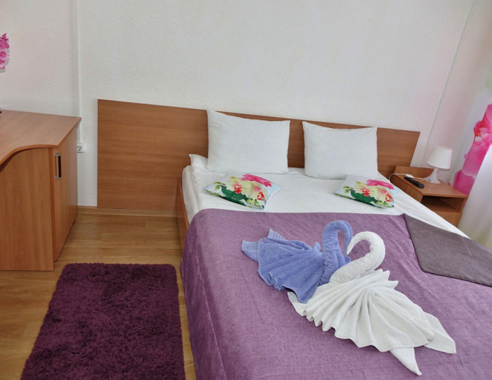 1-местный номер стандарт (с завтраком) - Отель «Витязь» Ивангород