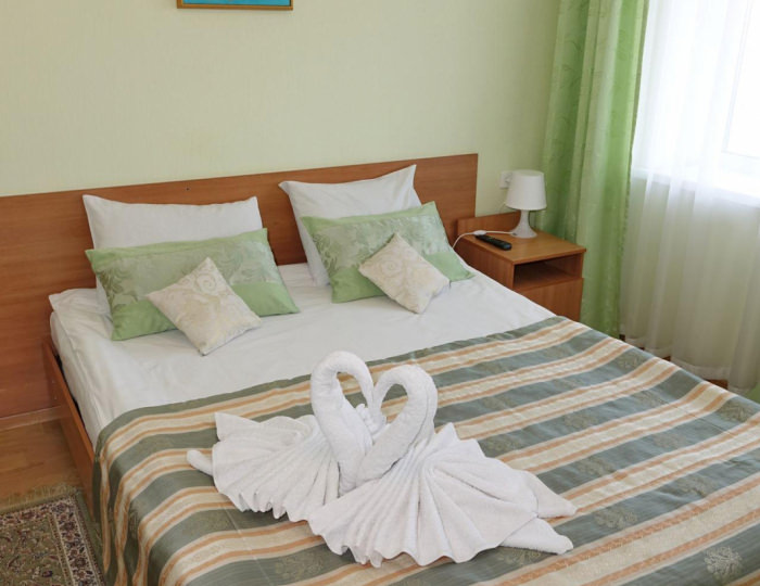 1-местный номер стандарт (с завтраком) - Отель «Витязь» Ивангород