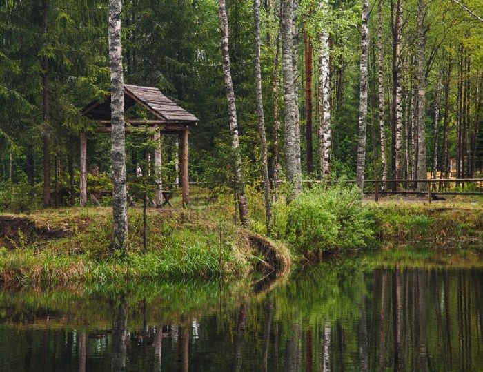 База отдыха «Драгунский ручей» Имени Морозова