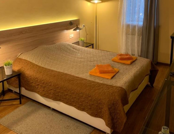 Стандарт с одной двуспальной или двумя односпальными кроватями - Отель «За околицей» Удельная