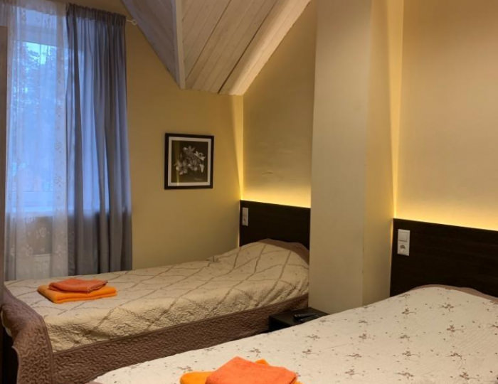 Номер эконом - Отель «За околицей» Удельная