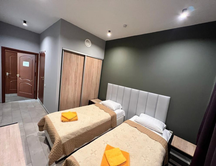 Номер люкс улучшенный с 2 односпальными кроватями - Отель «За околицей» Удельная