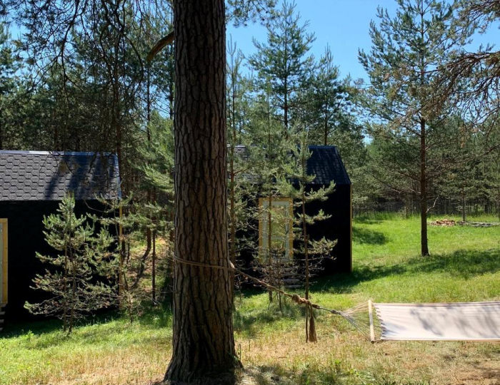 Шале стандарт - Глэмпинг «ЕлиСосны» Дубна