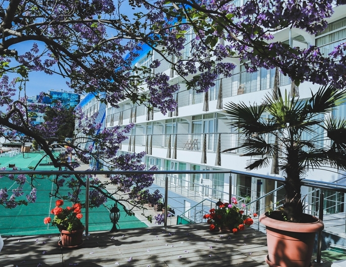 Эко-отель «Левант» Ялта