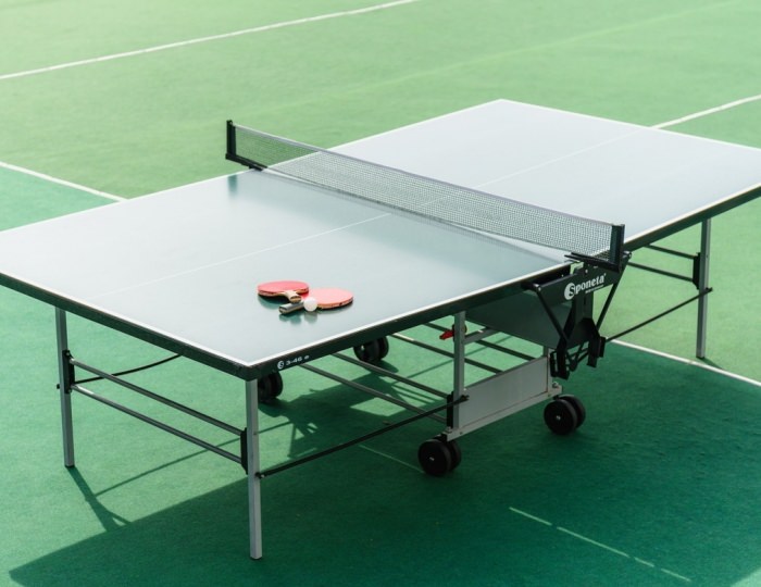 Настольный теннис - Эко-отель «Левант» Ялта