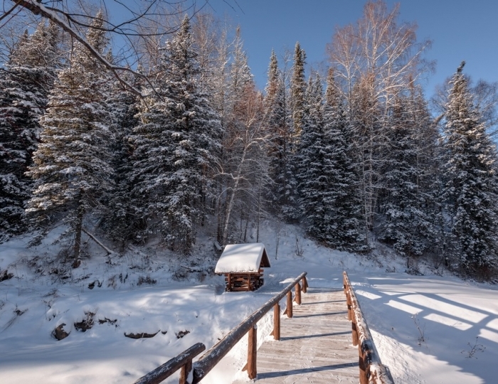 База отдыха «Таежная заимка Лесная сказка»